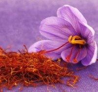 Saffron from IRAN