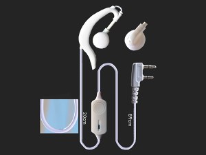 Ear hook earphone