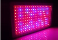 LED Grow Light with 3years warranty