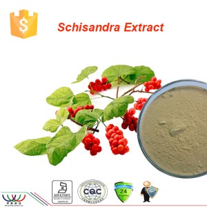 Pure natural protecting liver health schisandra extract