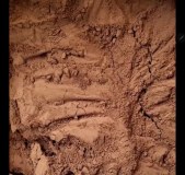 100% Natural Cocoa Powder – Export Quality