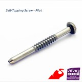 Stainless screw