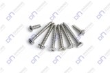 Self Tapping Screw