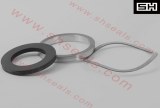 Fristam pump seals SH-WOFB-38