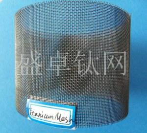 Titanium Wire Mesh Gr1 Gr2 TA1 TA2