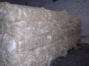 Sisal Fibre of UG grade and SSUG