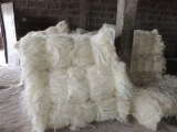 Natural Sisal Fiber for sale