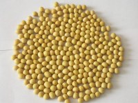 Non gmo yellow soybean for export
