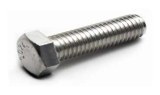 Ss hex bolt manufacturers