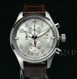Stainless steel champion watches wrist watches for men made in china