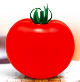 T43 Hongrui huge fruit f1 hybird red tomato seeds for sale