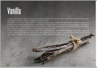 Vanilla Planifolia pod