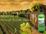 Vins blancs et rosé Andimar - Gilvus