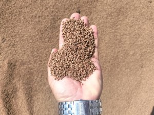 Vente de grignon d'olive