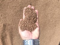 Vente de grignon d'olive