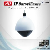 IP CCTV camera