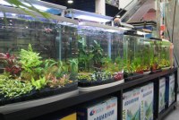 The 2nd Guangzhou International Aquarium Show(GIAS2016)