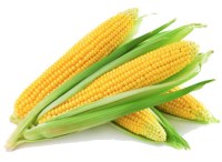 Buy Corn Gluten Meal Cgm Wholesale, Buy Yellow Corn Maize