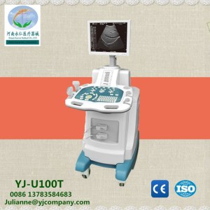 Digital Trolley Ultrasound scanner (human or animal use)