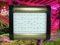 Dimmable LED Grow Light 162W