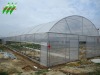 Offer Tunnel Greenhouse